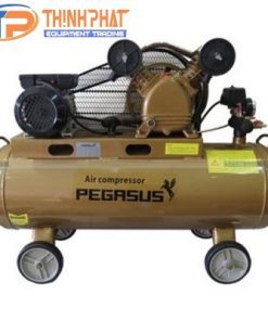 Máy nén khí dây đai 5.5 HP Pegasus TM-V-0.6-8-330L