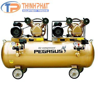 Máy nén khí Pegasus TM-V-0.25/12.5x2-230L - Ảnh 2