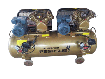 Máy nén khí Pegasus TM-V-0.25/12.5x2-230L - Ảnh 4