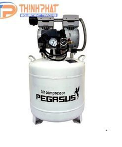 Máy nén khí không dầu 1HP Pegasus TM-OF750-40L