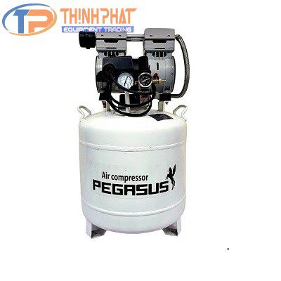 Máy nén khí không dầu 1HP Pegasus TM-OF750-40L