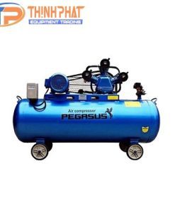 Máy nén khí pittong Pegasus TM-W-0.17/8-180L